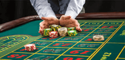 Casino Table Games