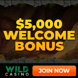 $5000 welcome bonuses at Wild Casino