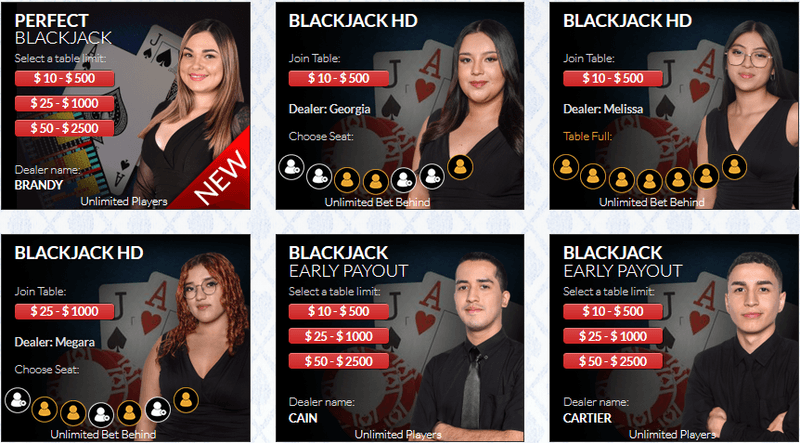 CasinoMax live dealer blackjack