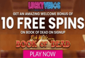 Lucky Vegas bonus, free spins on Book Of Dead slot