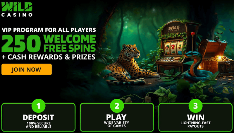 Screenshot of the Wild Casino homepage