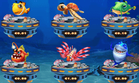 Fish Catch Game