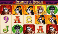 Beautiful Bones Slot Screenshot - Microgaming