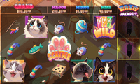 Screenshot of Cats Love Yummy slot game