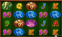 Screenshot of Cheetah Wild game