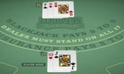 European Blackjack Gold - Microgaming table game