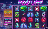 Screenshot of Harvest Moon - Grave Profits game