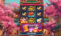 Lucky Panda Slot Screenshot - Pragmatic Play