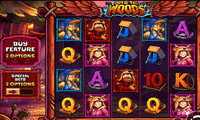 Screenshot of Out Of The Woods slot game