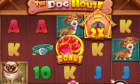 The Dog House Slot Screenshot - Pragmatic Play