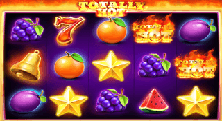 Totally Hot Slot Screenshot