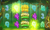 Wonder Woods - Microgaming slot