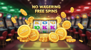 No Wagering Free Spins